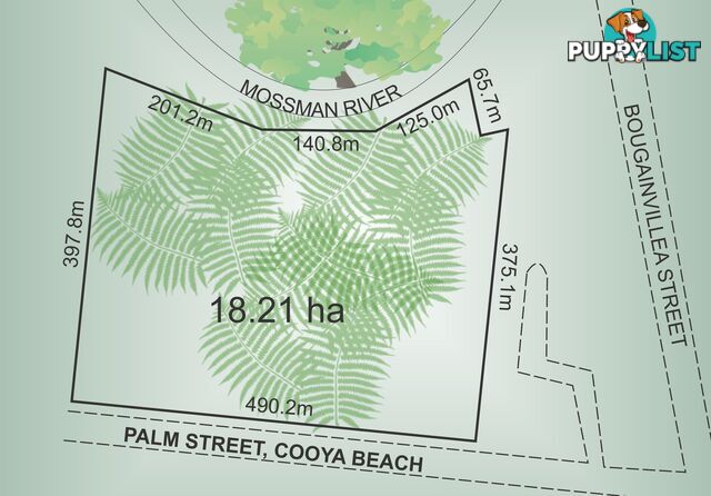 Lot 12 Palm Street COOYA BEACH QLD 4873