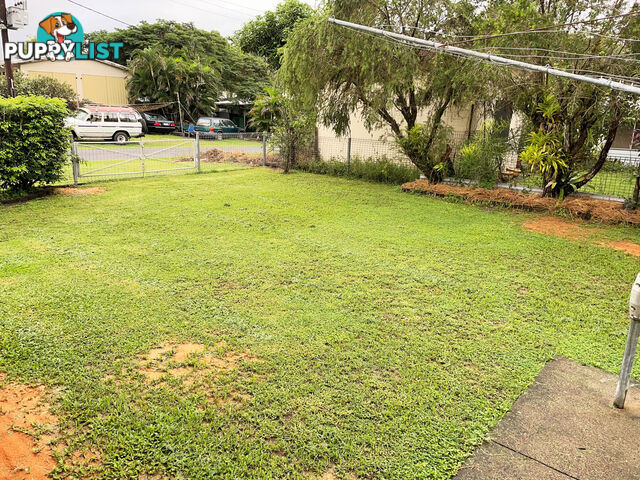 39 Andrews Street NEWELL QLD 4873