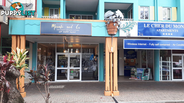 Shop 1, 34 Macrossan Street PORT DOUGLAS QLD 4877