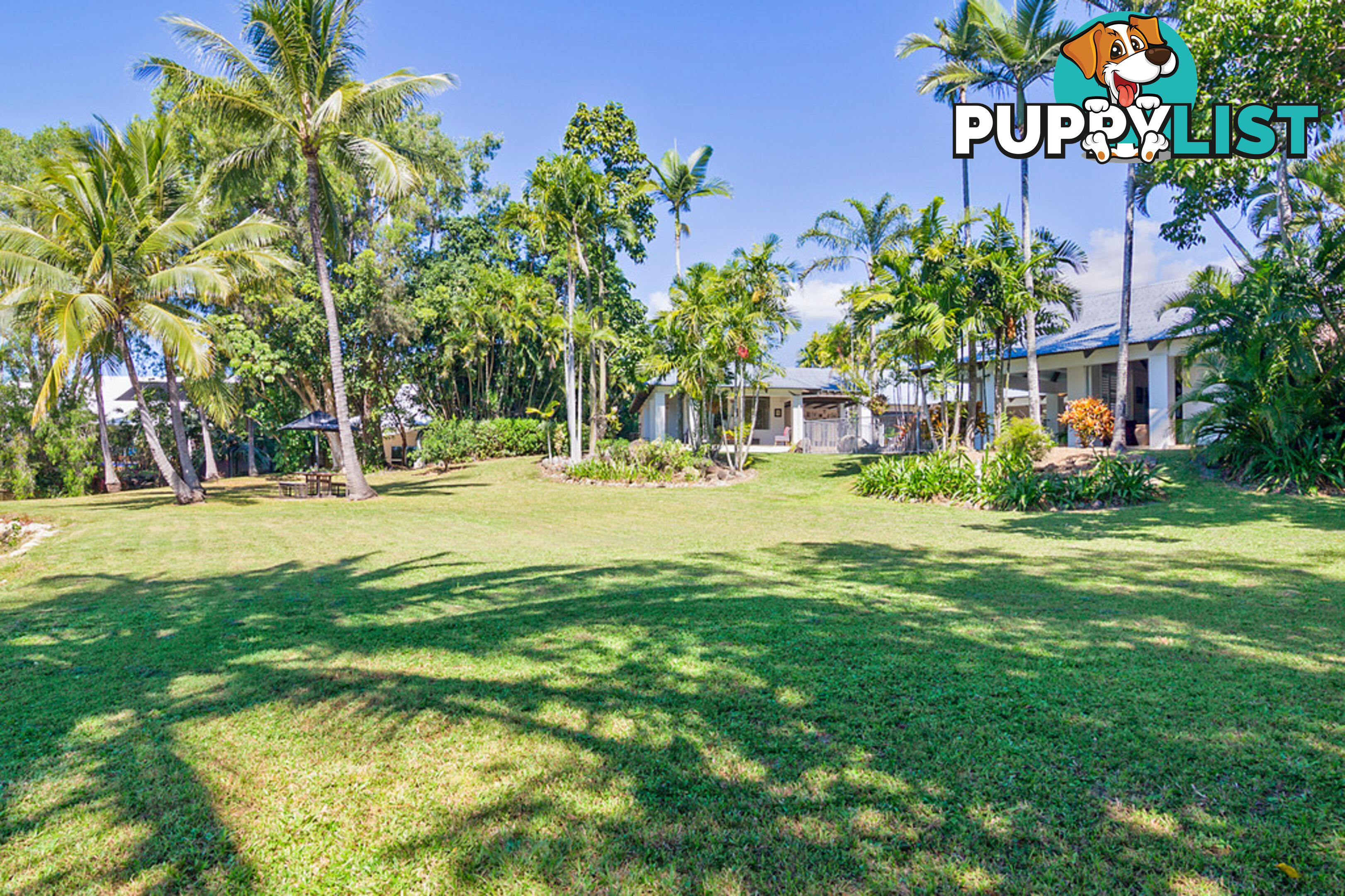 3 Ruby Close PORT DOUGLAS QLD 4877