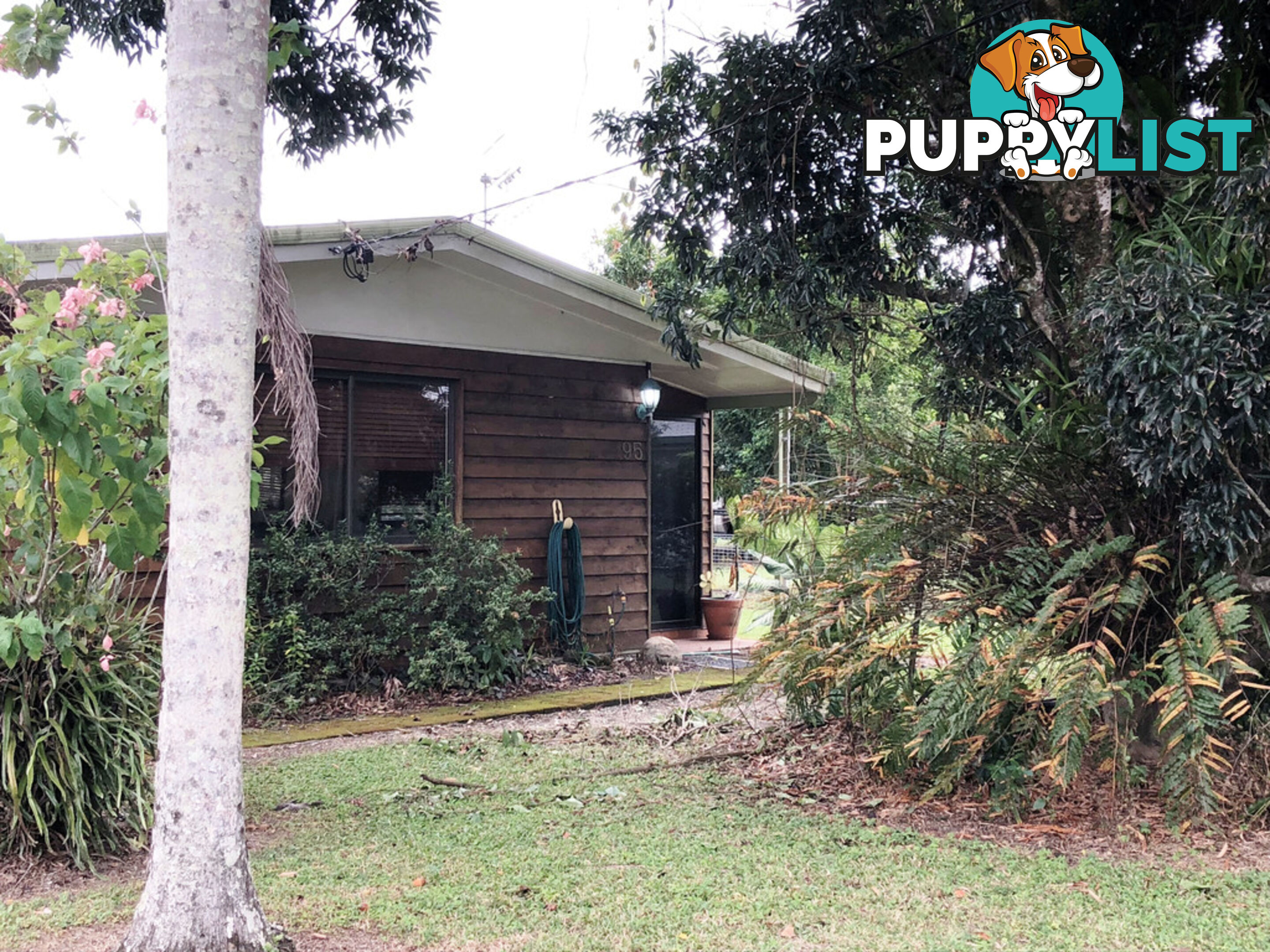 95 Alchera Drive MOSSMAN QLD 4873