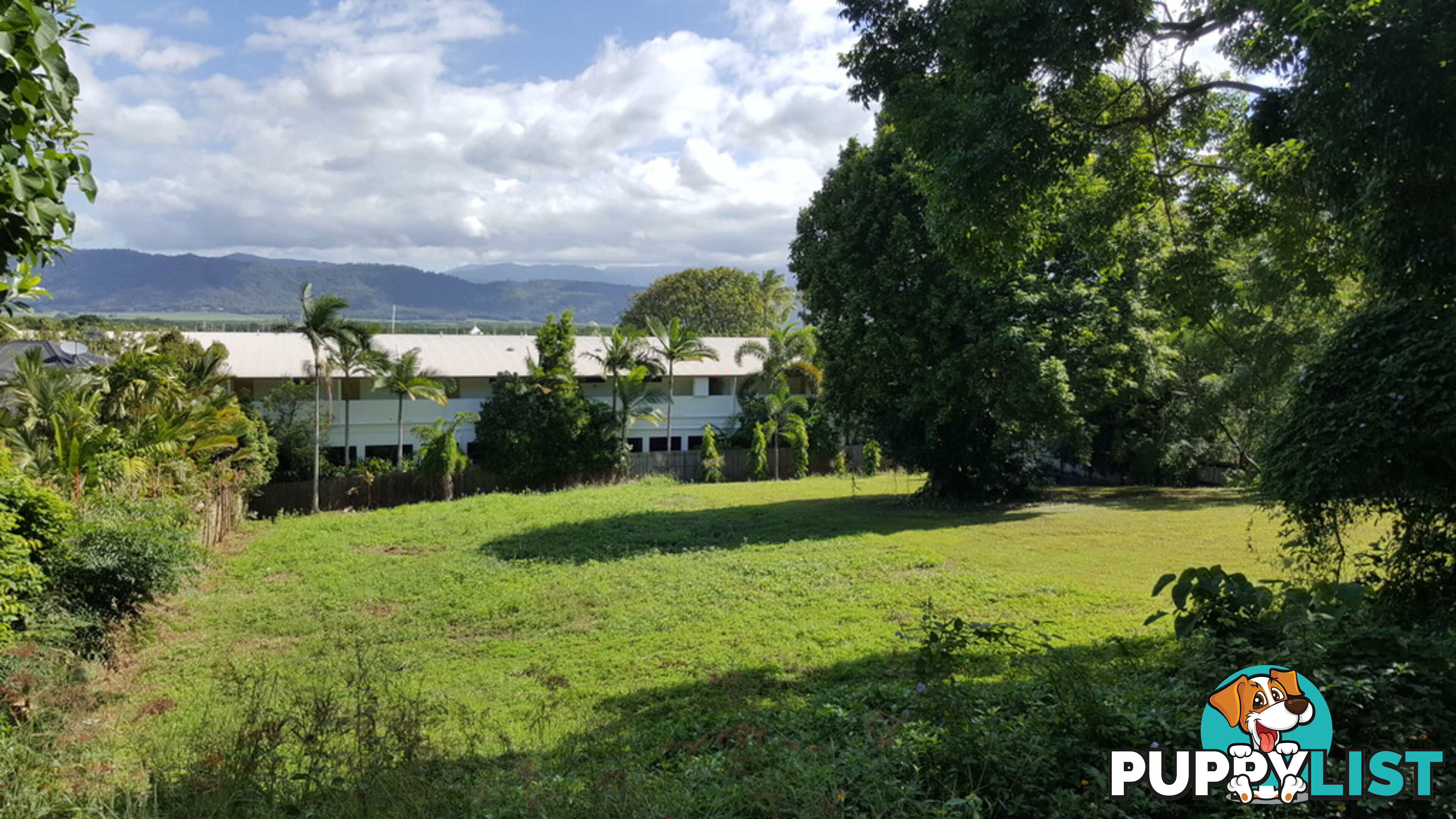 27 Murphy Street PORT DOUGLAS QLD 4877