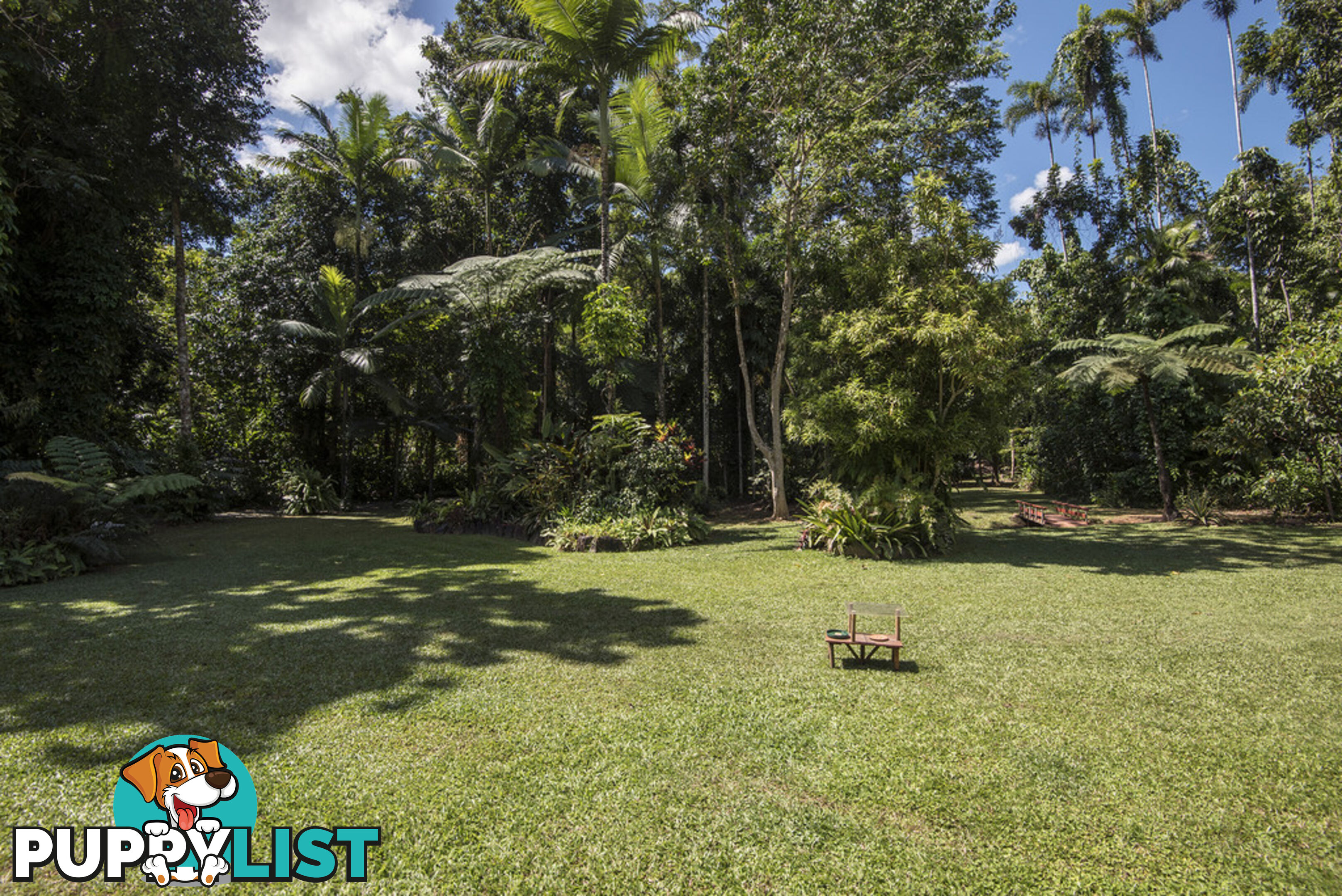 82 Hickory Road, Cow Bay DAINTREE QLD 4873