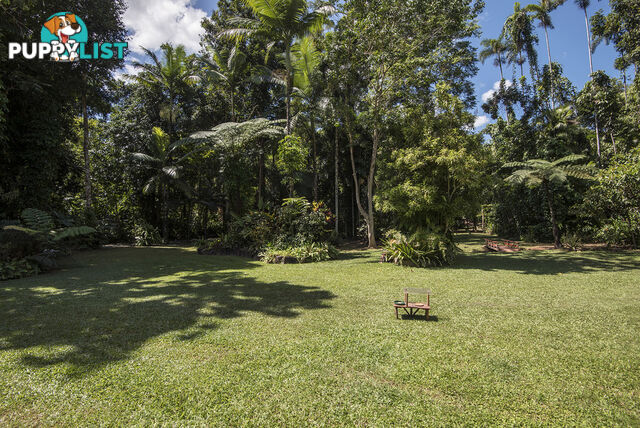 82 Hickory Road, Cow Bay DAINTREE QLD 4873