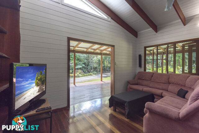 82 Hickory Road, Cow Bay DAINTREE QLD 4873