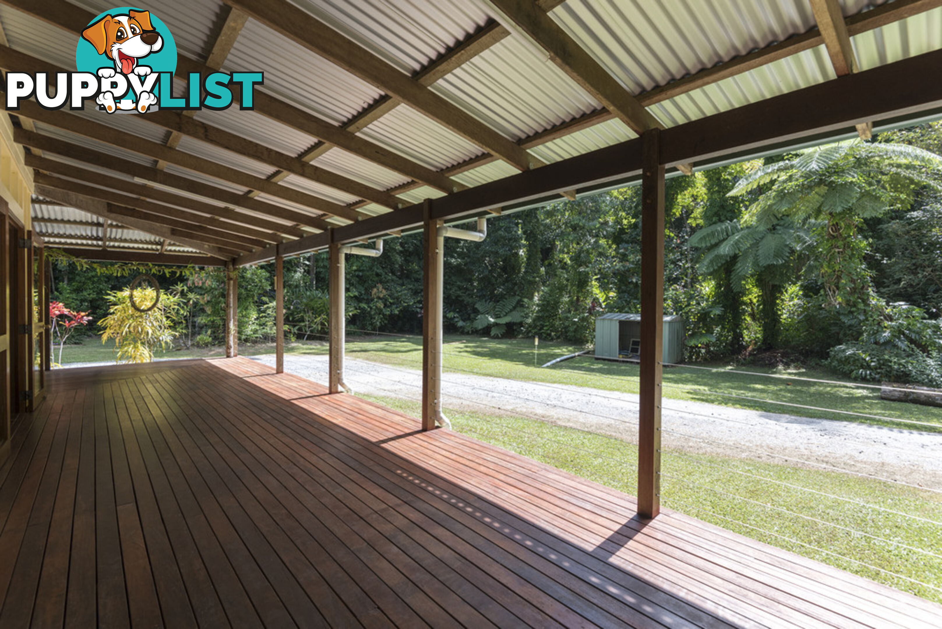 82 Hickory Road, Cow Bay DAINTREE QLD 4873