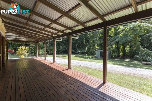 82 Hickory Road, Cow Bay DAINTREE QLD 4873