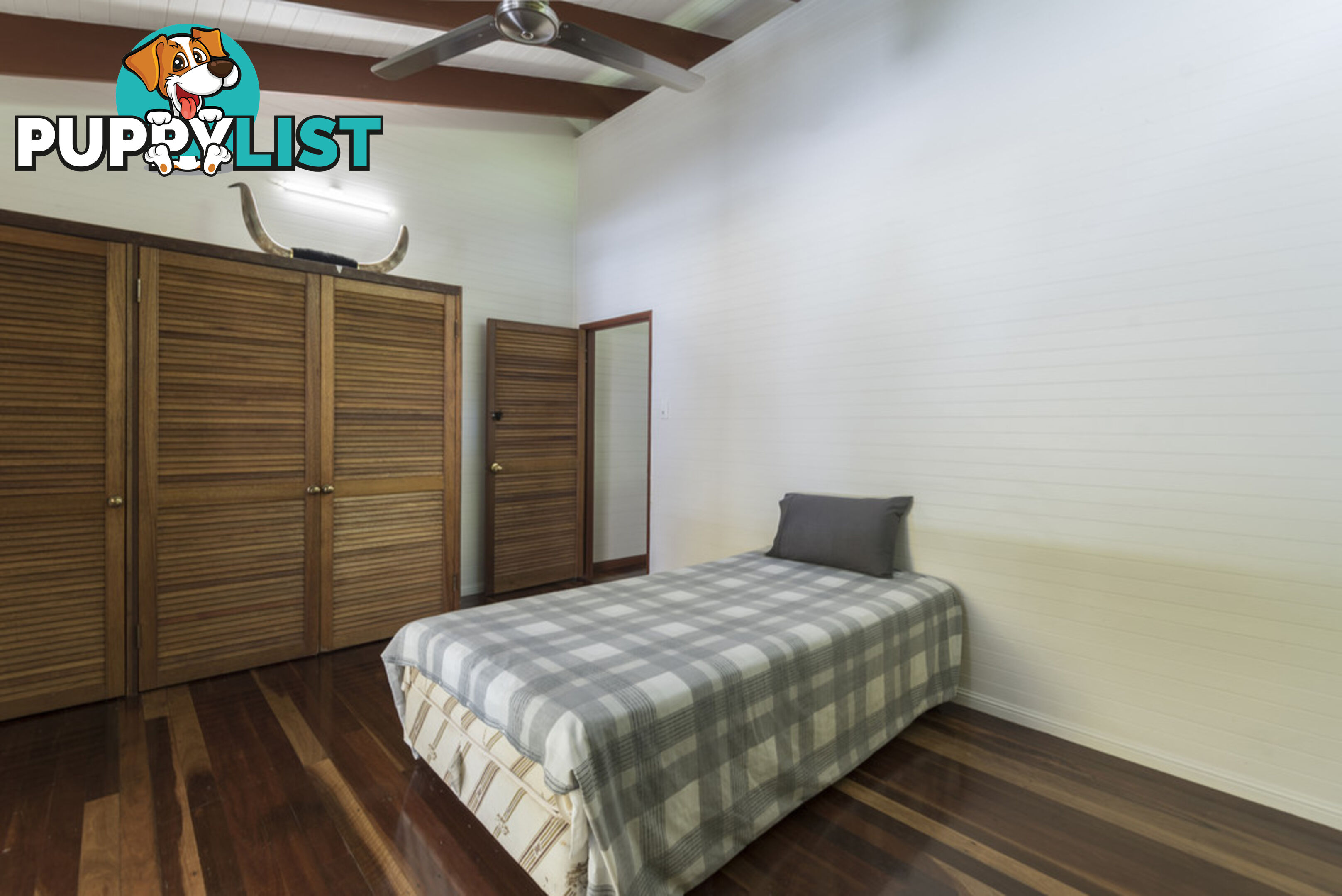 82 Hickory Road, Cow Bay DAINTREE QLD 4873