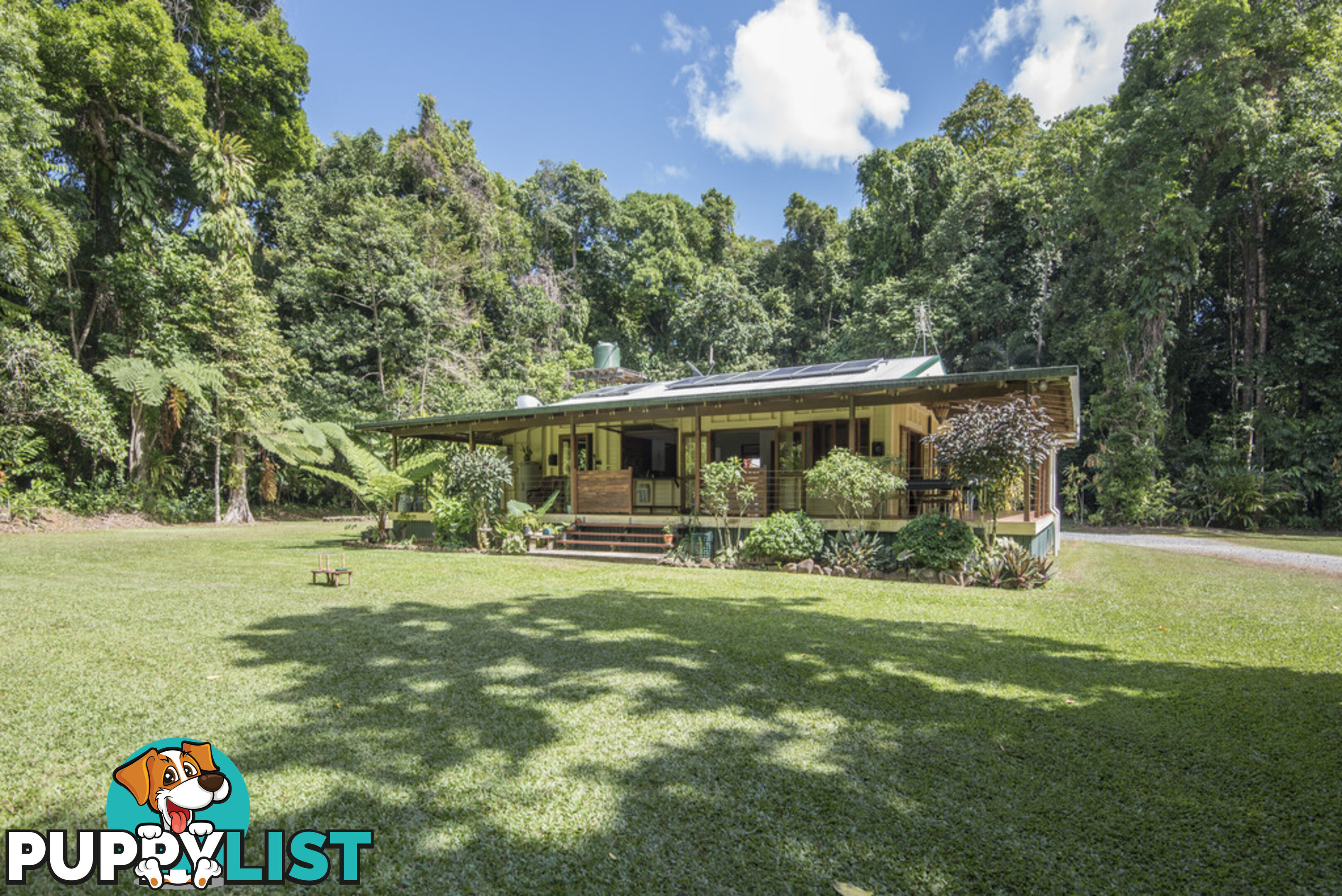 82 Hickory Road, Cow Bay DAINTREE QLD 4873