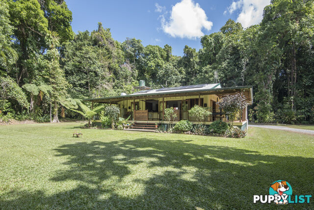 82 Hickory Road, Cow Bay DAINTREE QLD 4873