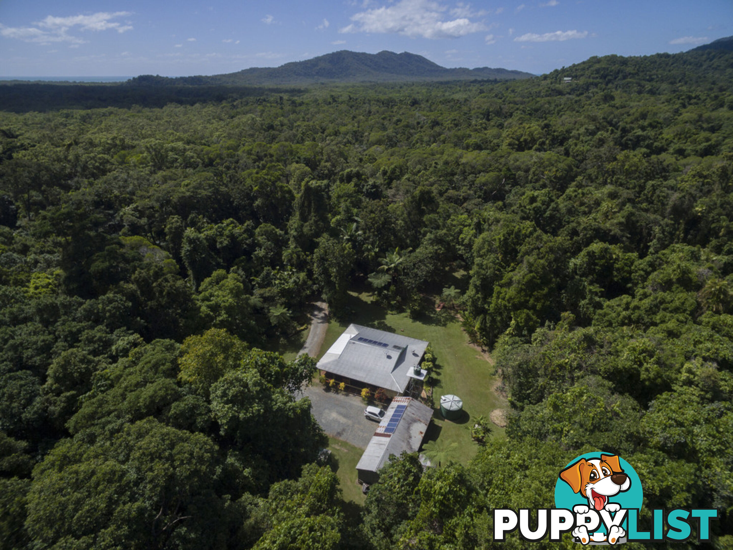 82 Hickory Road, Cow Bay DAINTREE QLD 4873