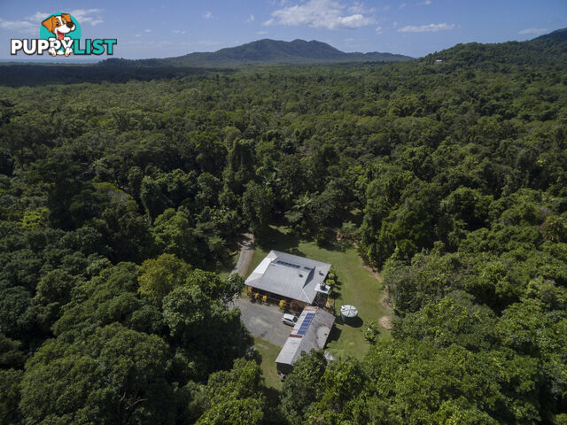 82 Hickory Road, Cow Bay DAINTREE QLD 4873