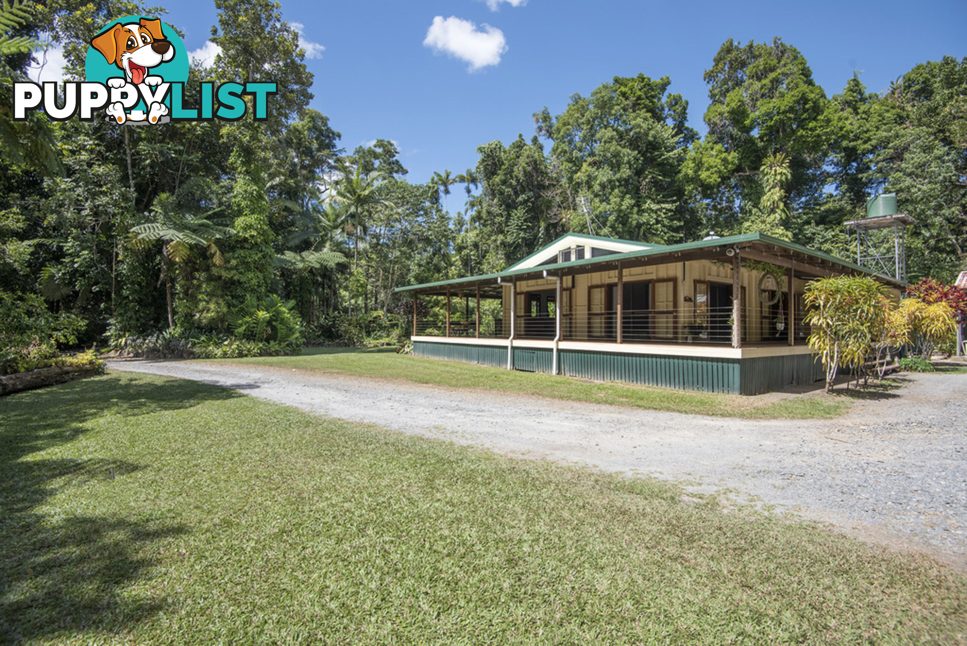 82 Hickory Road, Cow Bay DAINTREE QLD 4873