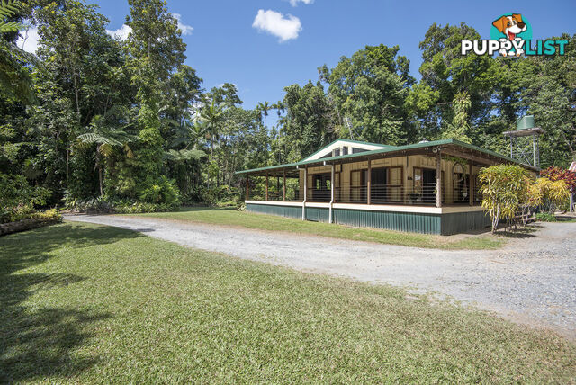 82 Hickory Road, Cow Bay DAINTREE QLD 4873