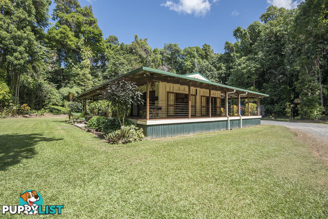 82 Hickory Road, Cow Bay DAINTREE QLD 4873