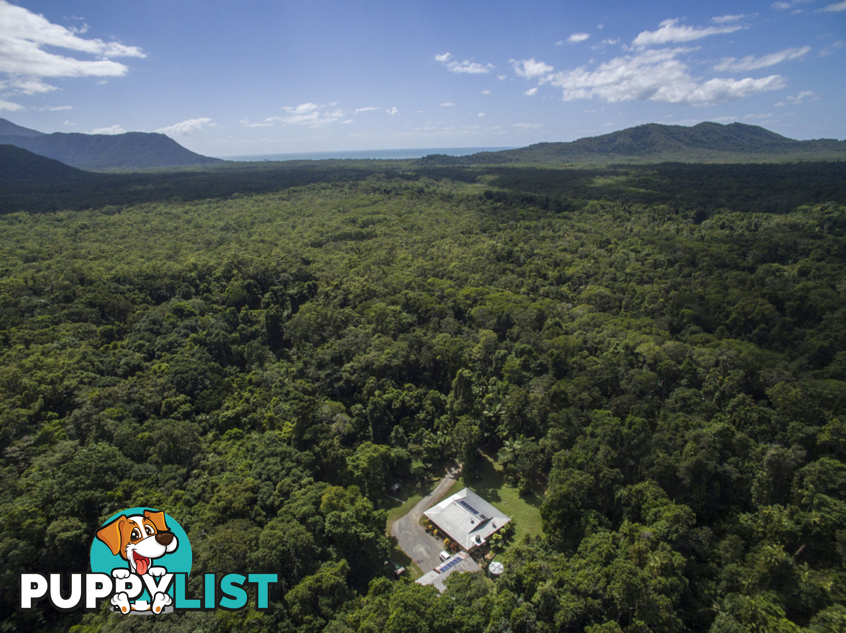 82 Hickory Road, Cow Bay DAINTREE QLD 4873