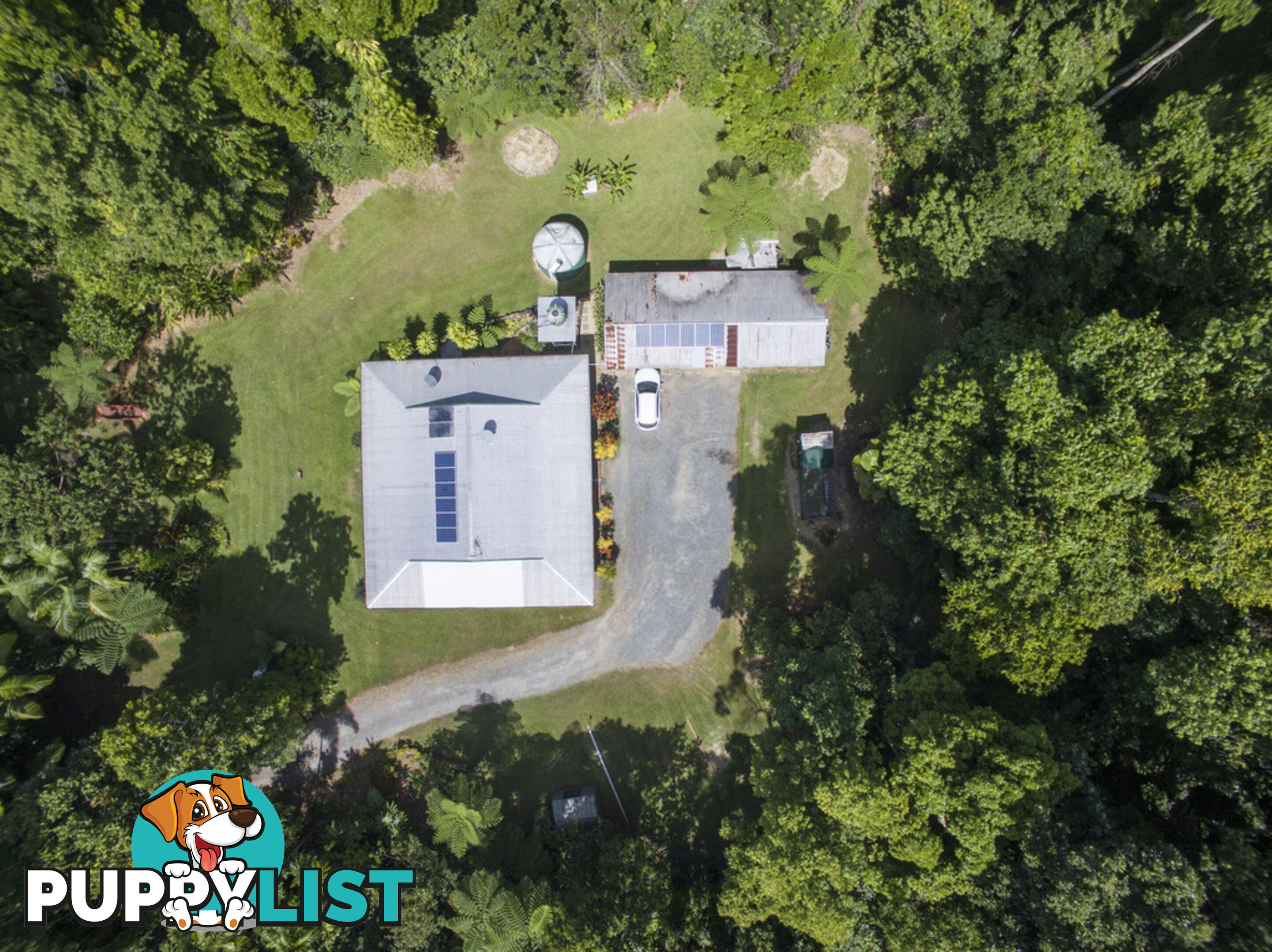 82 Hickory Road, Cow Bay DAINTREE QLD 4873