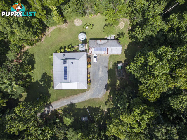 82 Hickory Road, Cow Bay DAINTREE QLD 4873