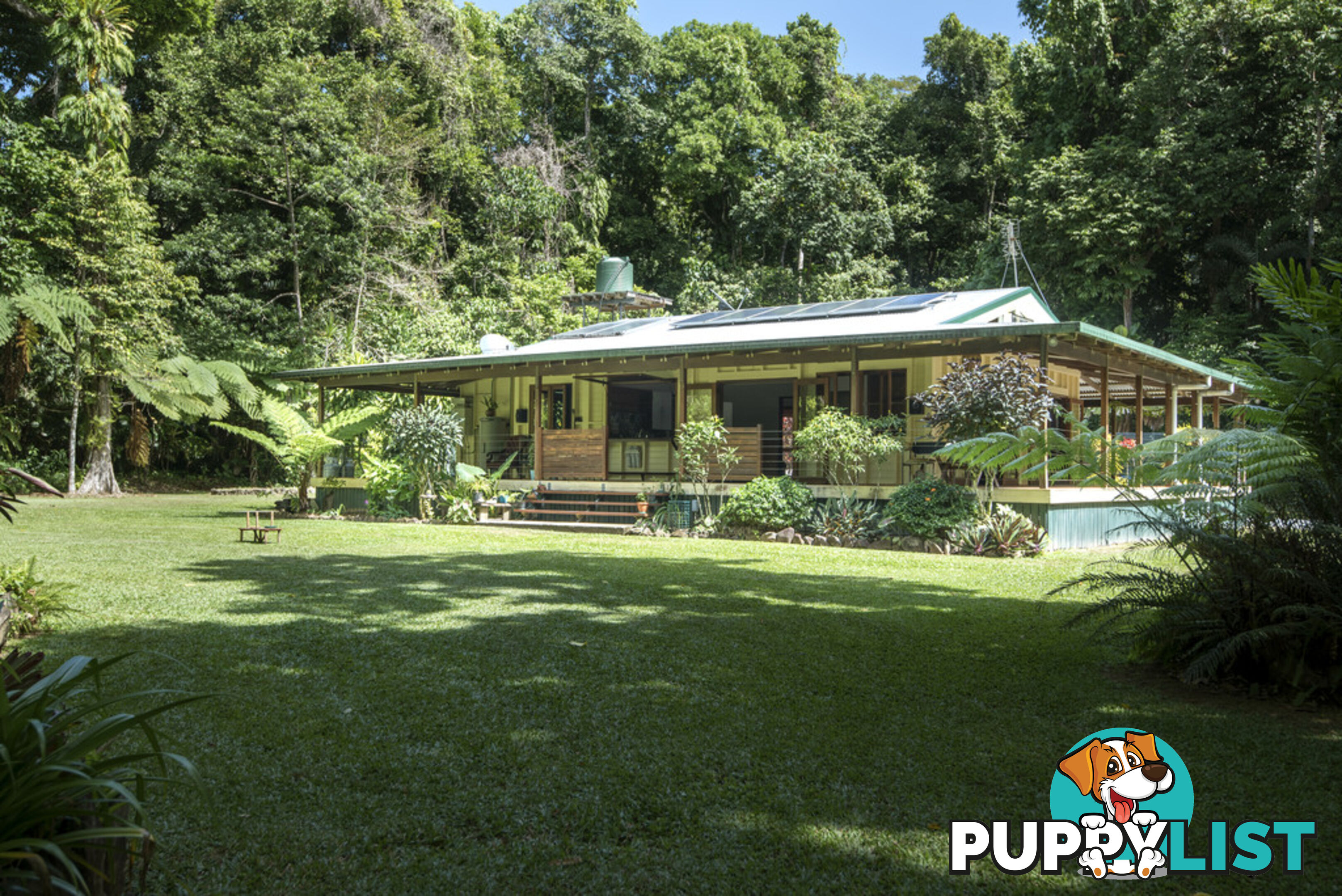 82 Hickory Road, Cow Bay DAINTREE QLD 4873