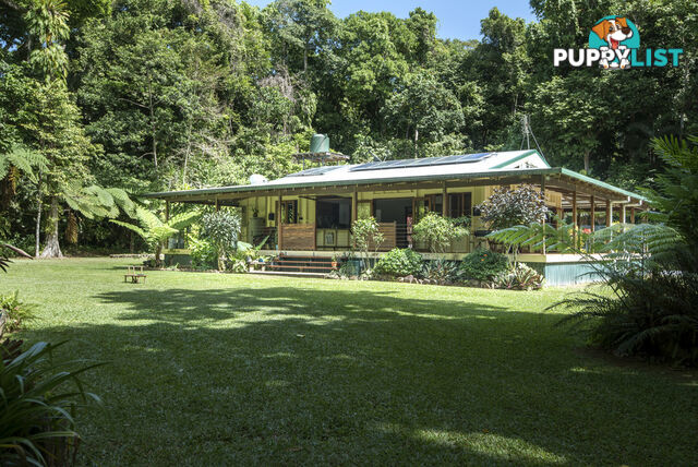 82 Hickory Road, Cow Bay DAINTREE QLD 4873