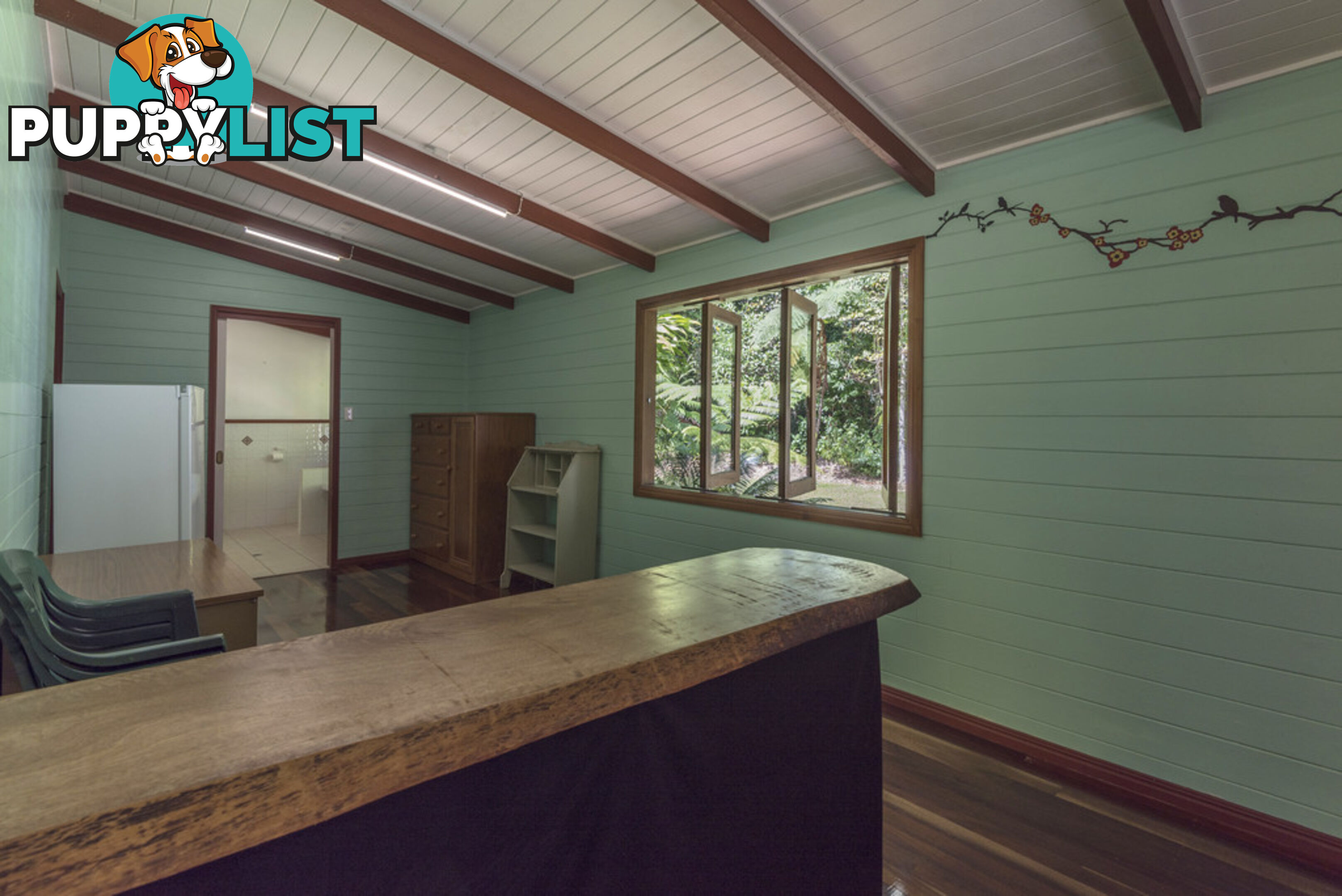 82 Hickory Road, Cow Bay DAINTREE QLD 4873