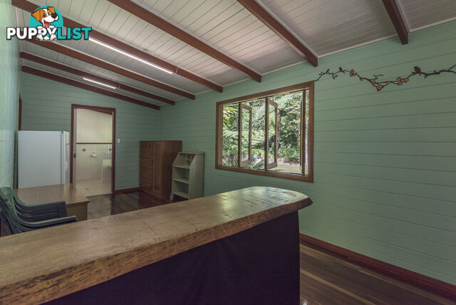 82 Hickory Road, Cow Bay DAINTREE QLD 4873