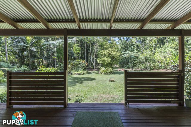 82 Hickory Road, Cow Bay DAINTREE QLD 4873