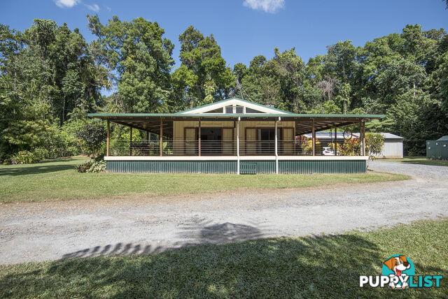 82 Hickory Road, Cow Bay DAINTREE QLD 4873