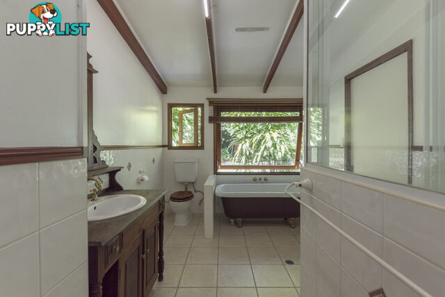 82 Hickory Road, Cow Bay DAINTREE QLD 4873