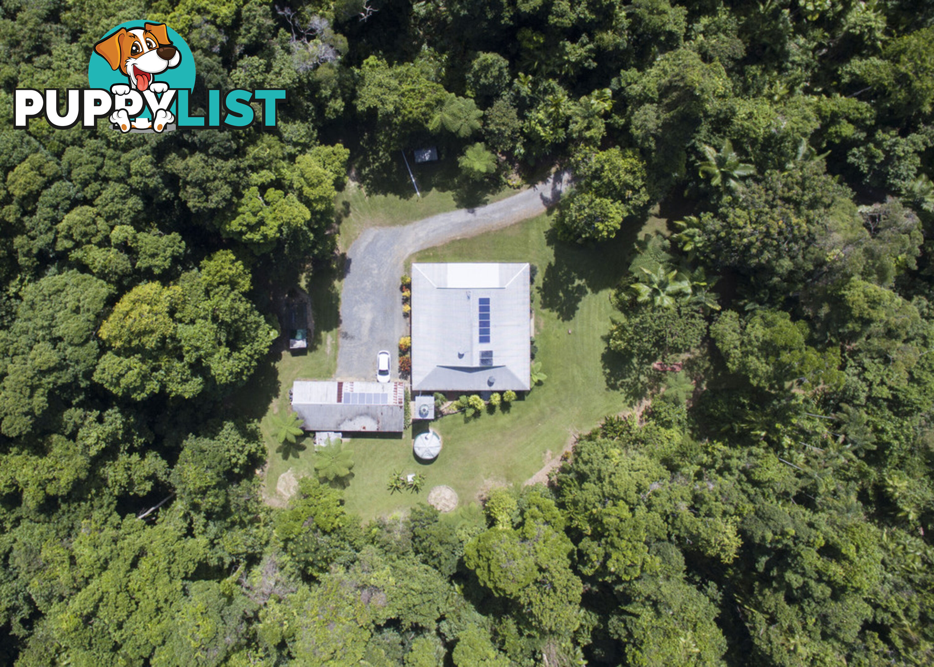 82 Hickory Road, Cow Bay DAINTREE QLD 4873