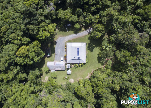 82 Hickory Road, Cow Bay DAINTREE QLD 4873