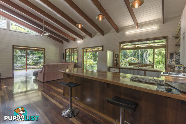 82 Hickory Road, Cow Bay DAINTREE QLD 4873