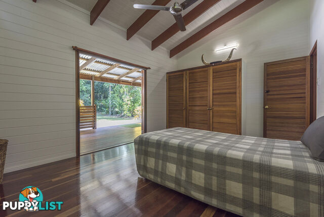 82 Hickory Road, Cow Bay DAINTREE QLD 4873