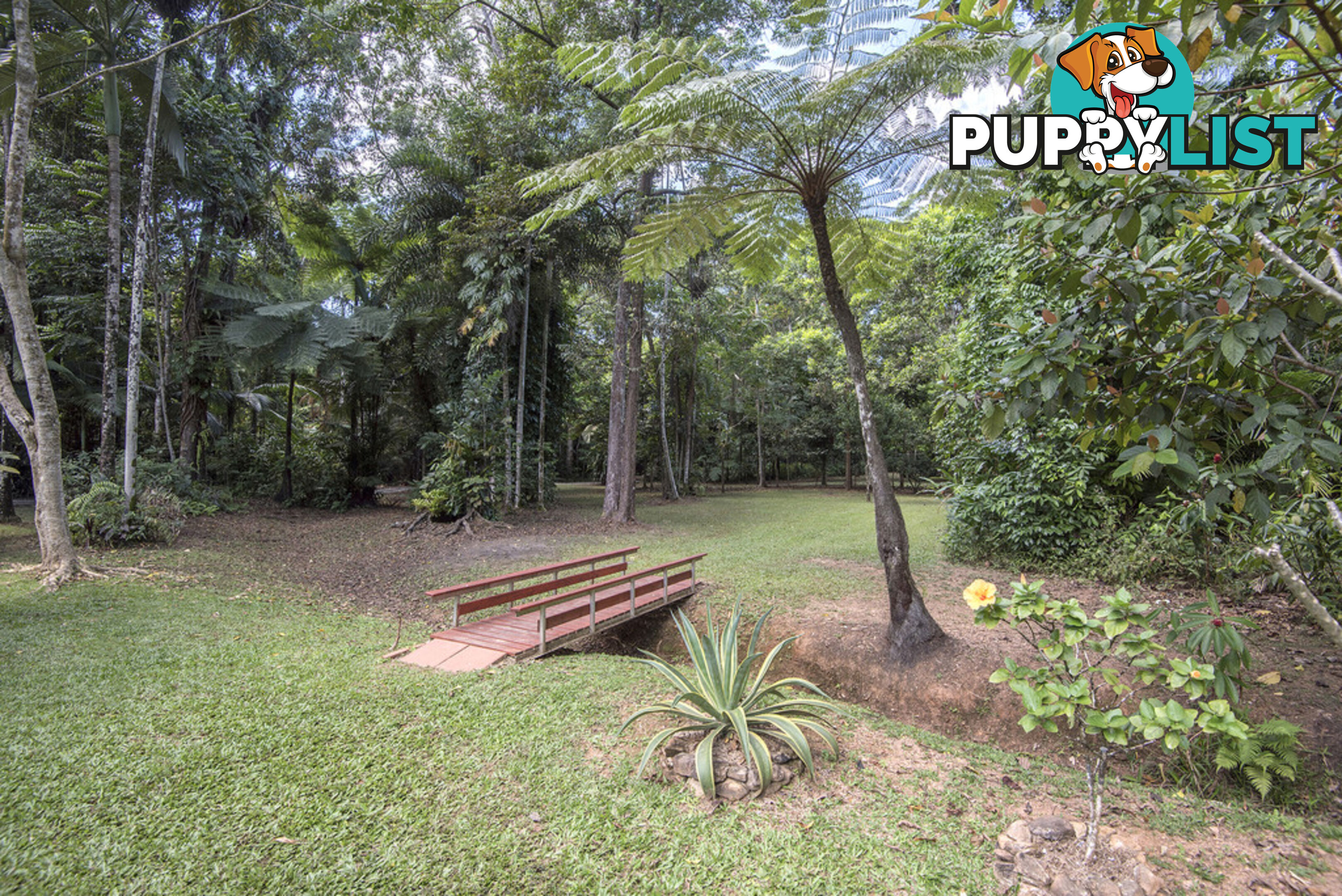 82 Hickory Road, Cow Bay DAINTREE QLD 4873