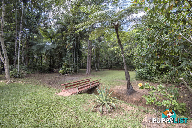 82 Hickory Road, Cow Bay DAINTREE QLD 4873