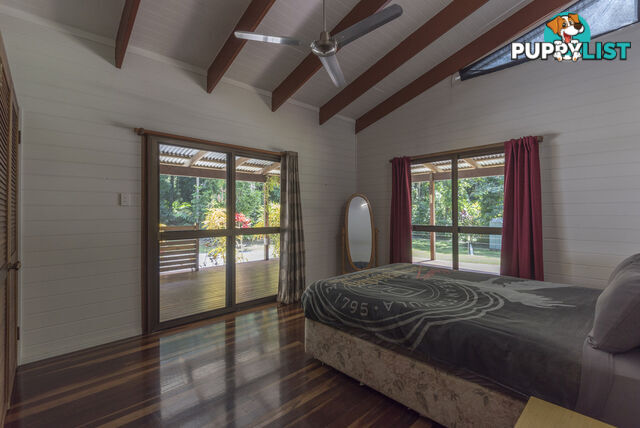 82 Hickory Road, Cow Bay DAINTREE QLD 4873