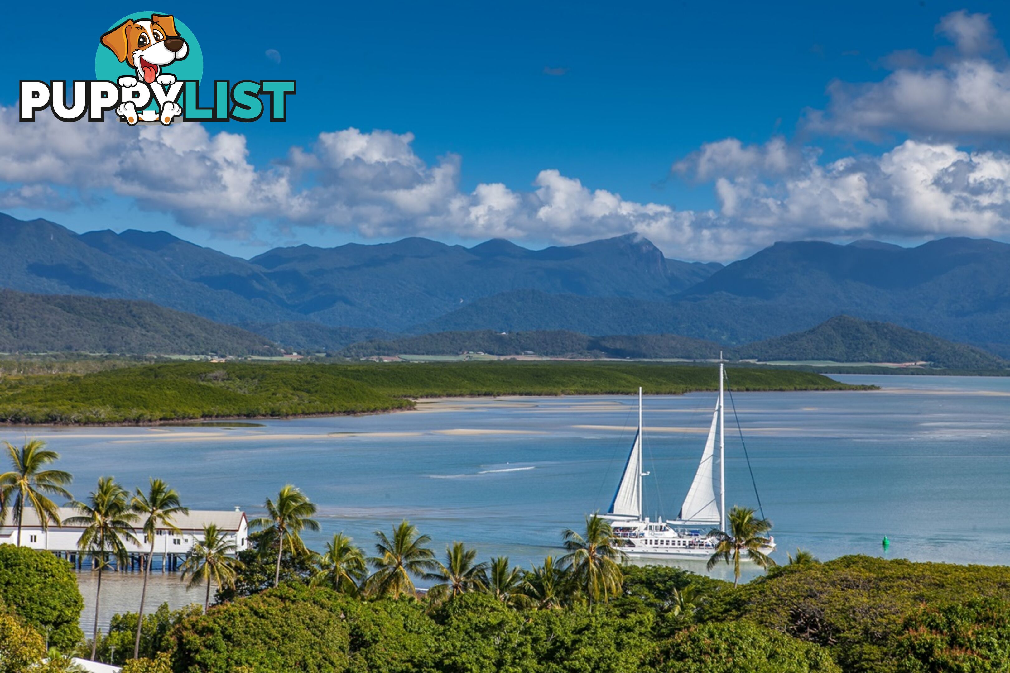 1 Island Point Road PORT DOUGLAS QLD 4877