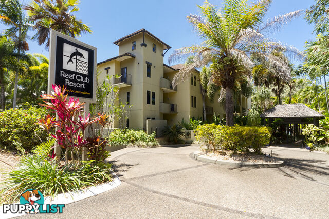 56/62-64 Davidson Street PORT DOUGLAS QLD 4877