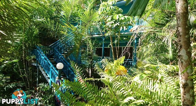 12 Macrossan Street PORT DOUGLAS QLD 4877