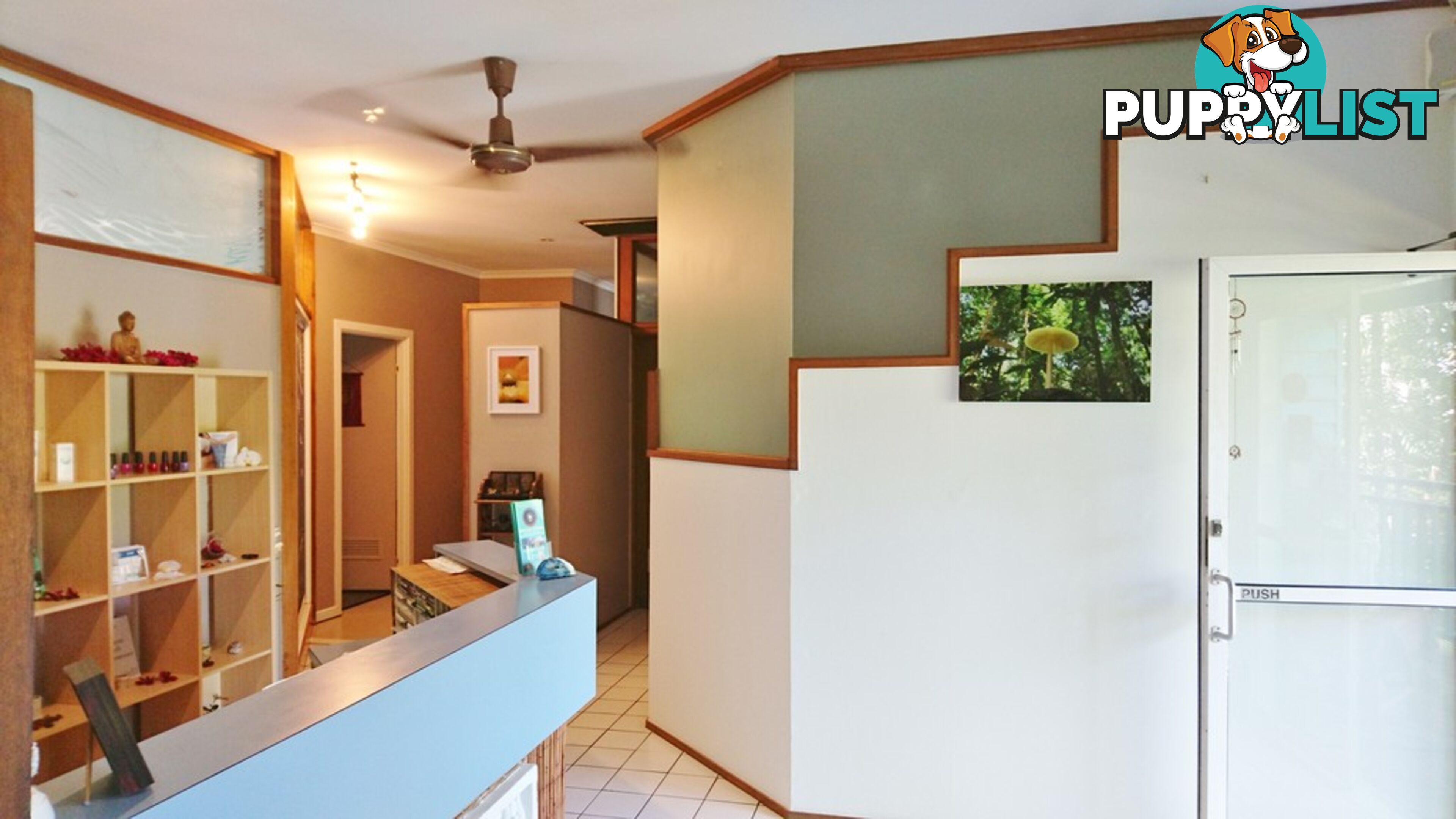 12 Macrossan Street PORT DOUGLAS QLD 4877