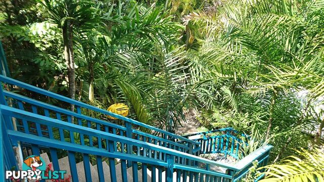 12 Macrossan Street PORT DOUGLAS QLD 4877