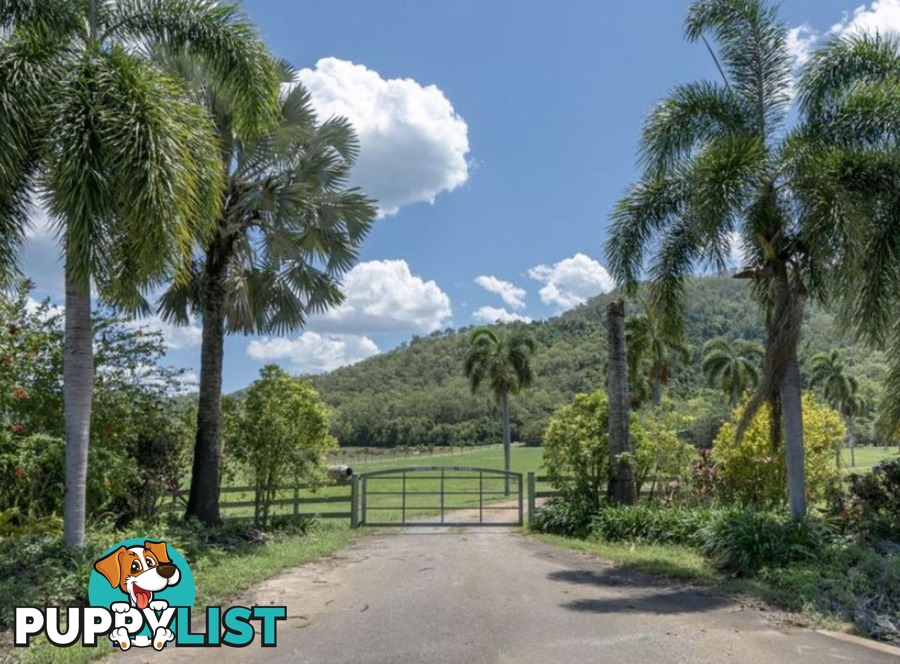 63 Heritage Lane PORT DOUGLAS QLD 4877