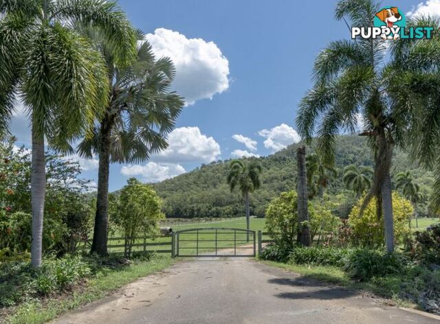 63 Heritage Lane PORT DOUGLAS QLD 4877