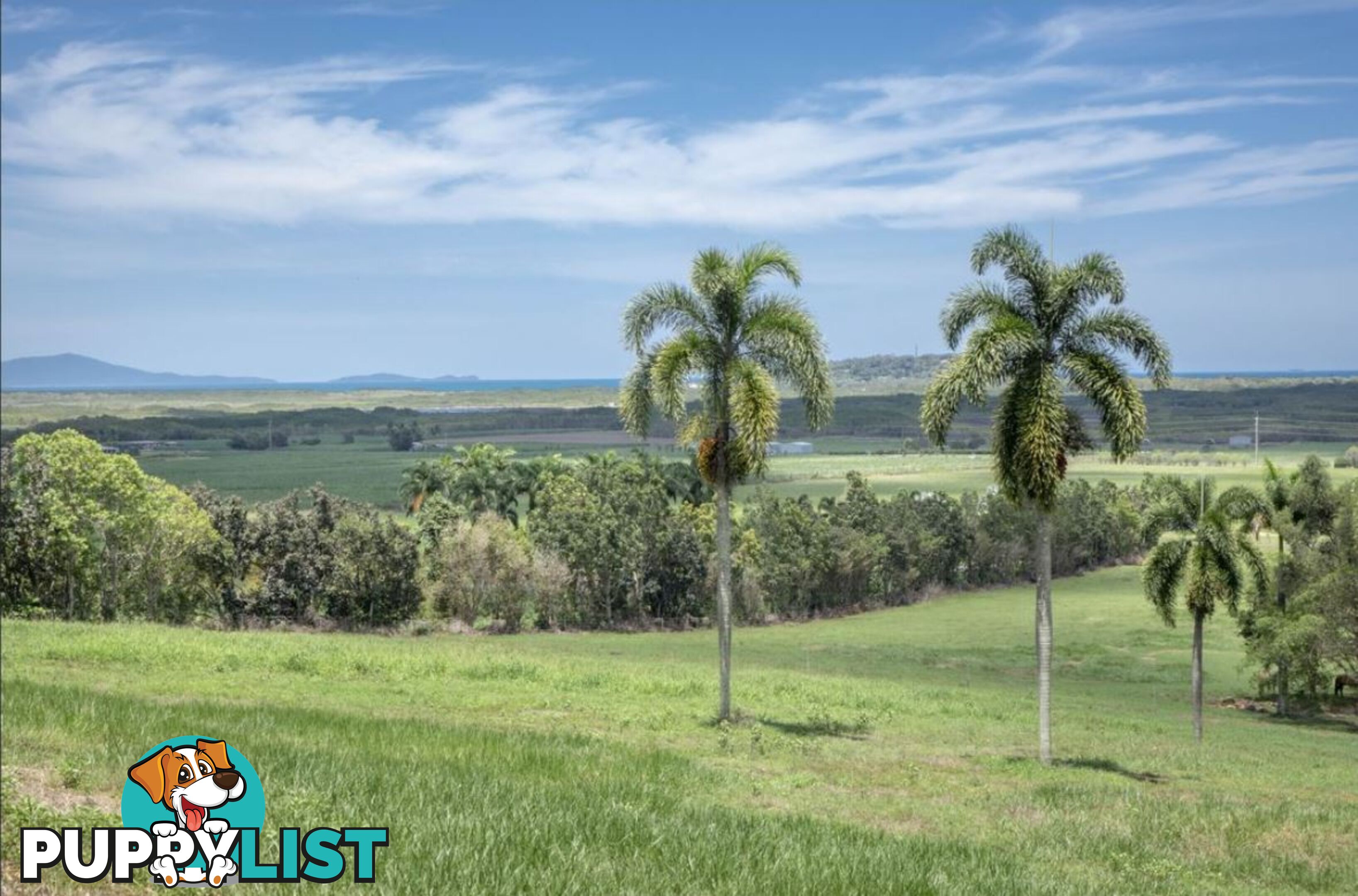 63 Heritage Lane PORT DOUGLAS QLD 4877