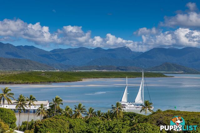 1 Island Point Road PORT DOUGLAS QLD 4877