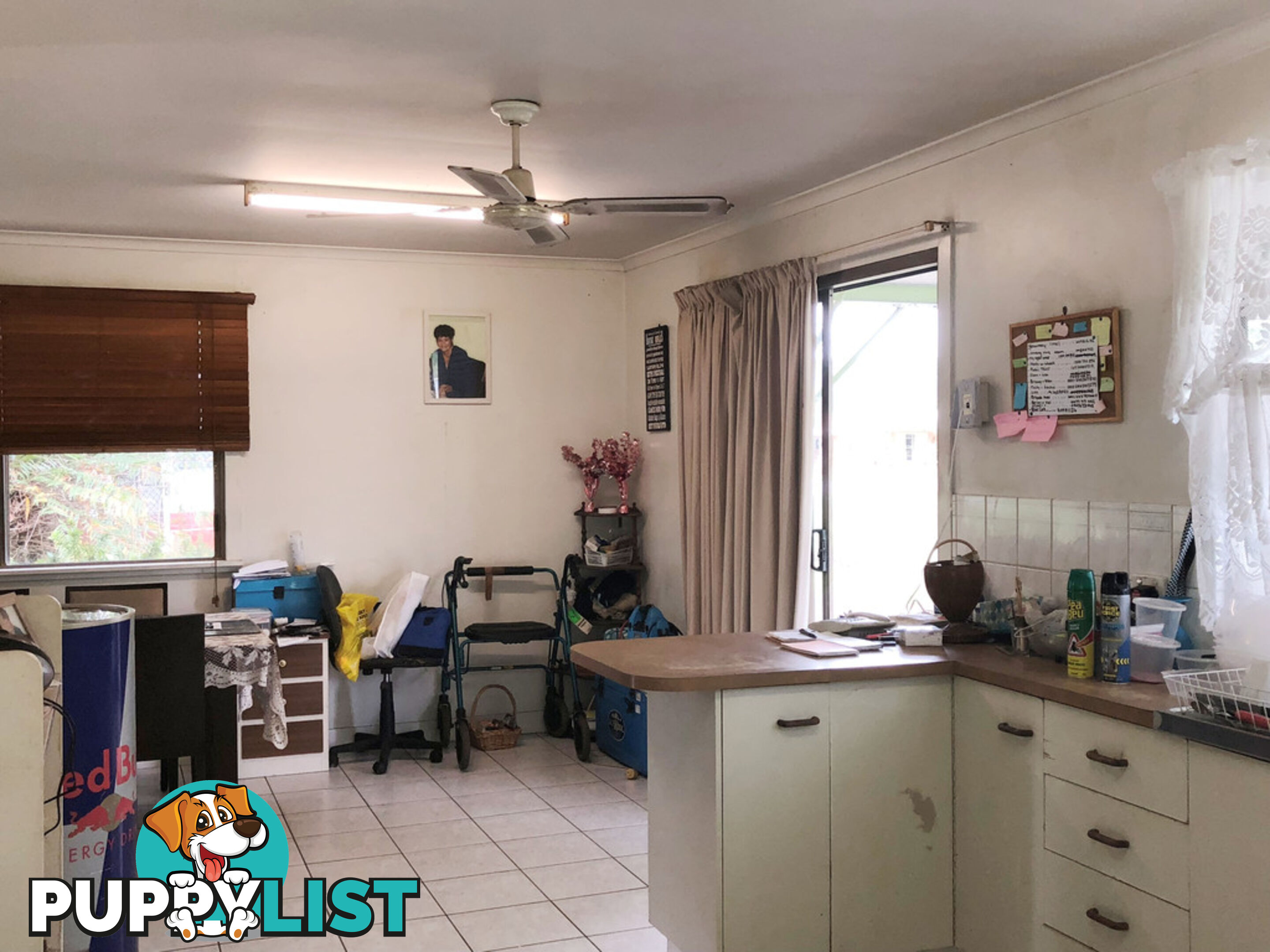 95 Alchera Drive MOSSMAN QLD 4873