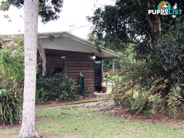 95 Alchera Drive MOSSMAN QLD 4873