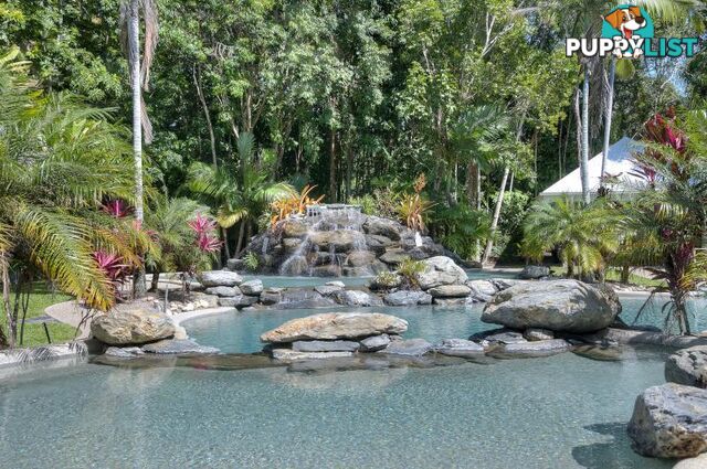 49/24-70 Nautilus Street PORT DOUGLAS QLD 4877