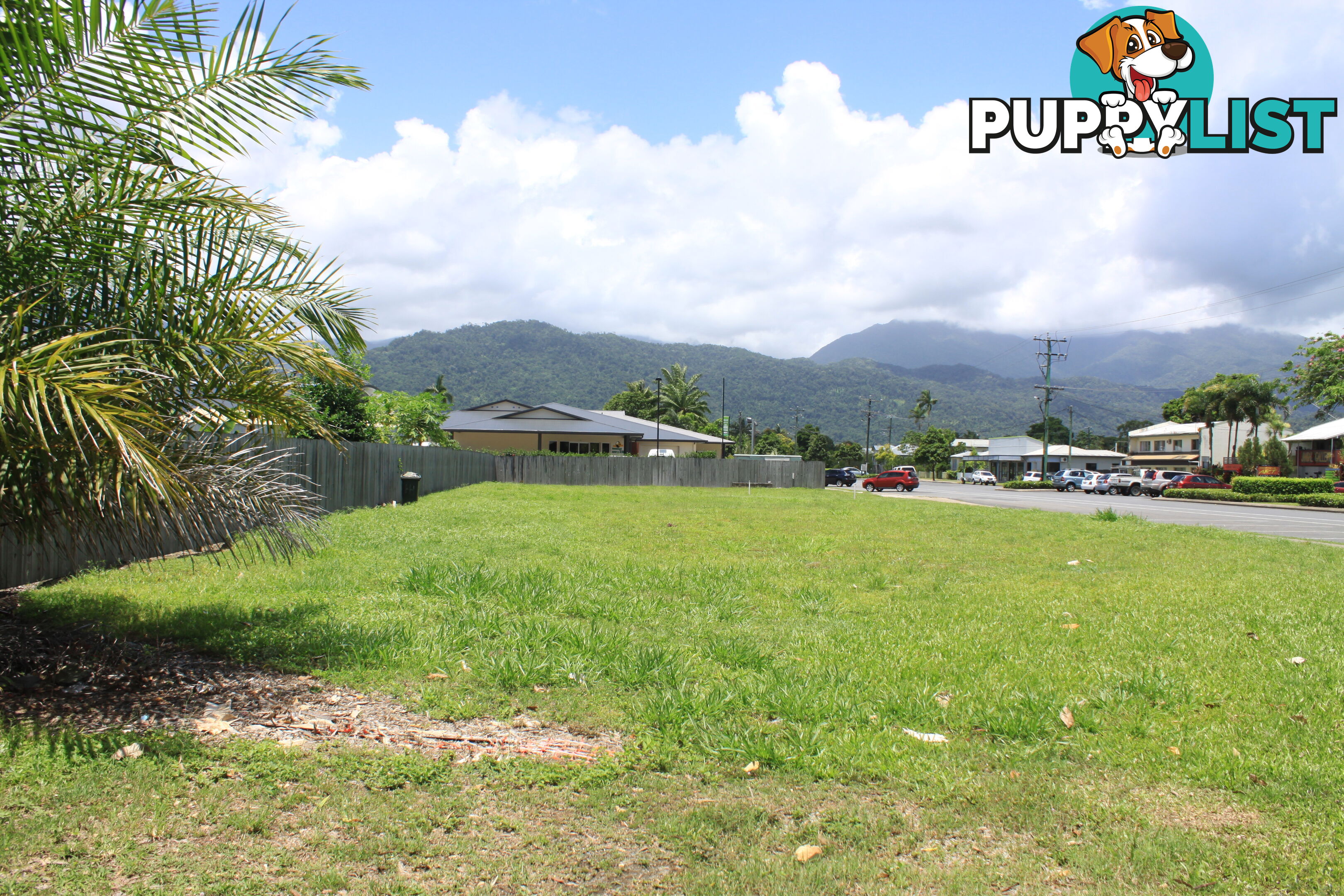 55 Front Street MOSSMAN QLD 4873