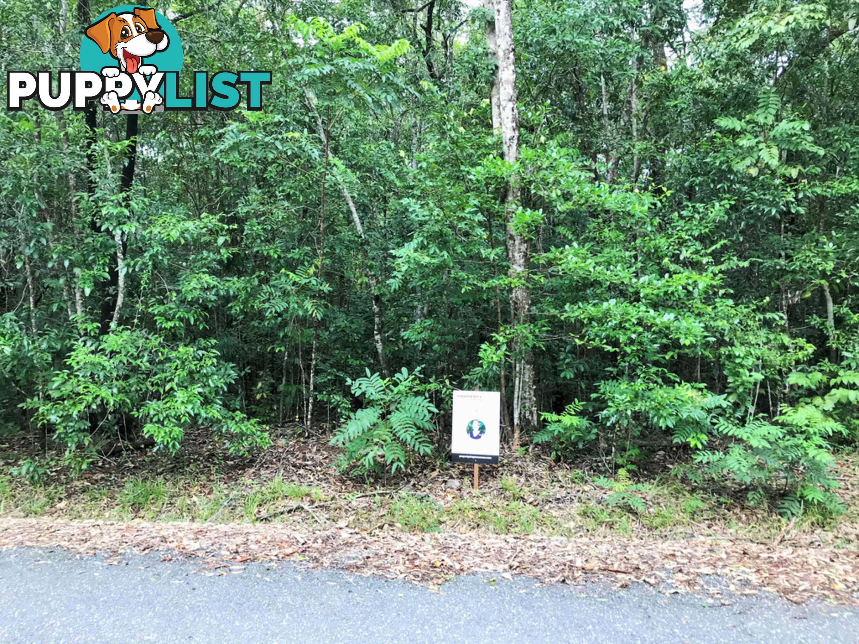 Lot 176 Quandong Road, Cow Bay DAINTREE QLD 4873